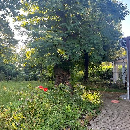 Unterkunft Mozart Magdeburg Eksteriør billede